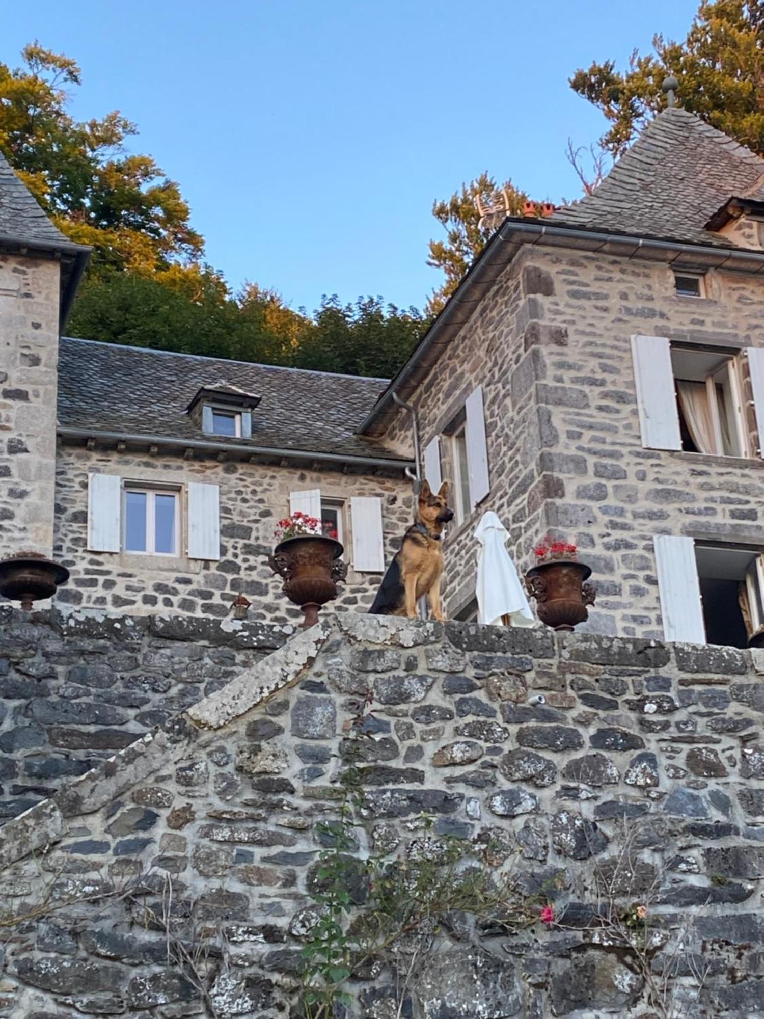 Chateau Du Puech Curieres Exteriör bild
